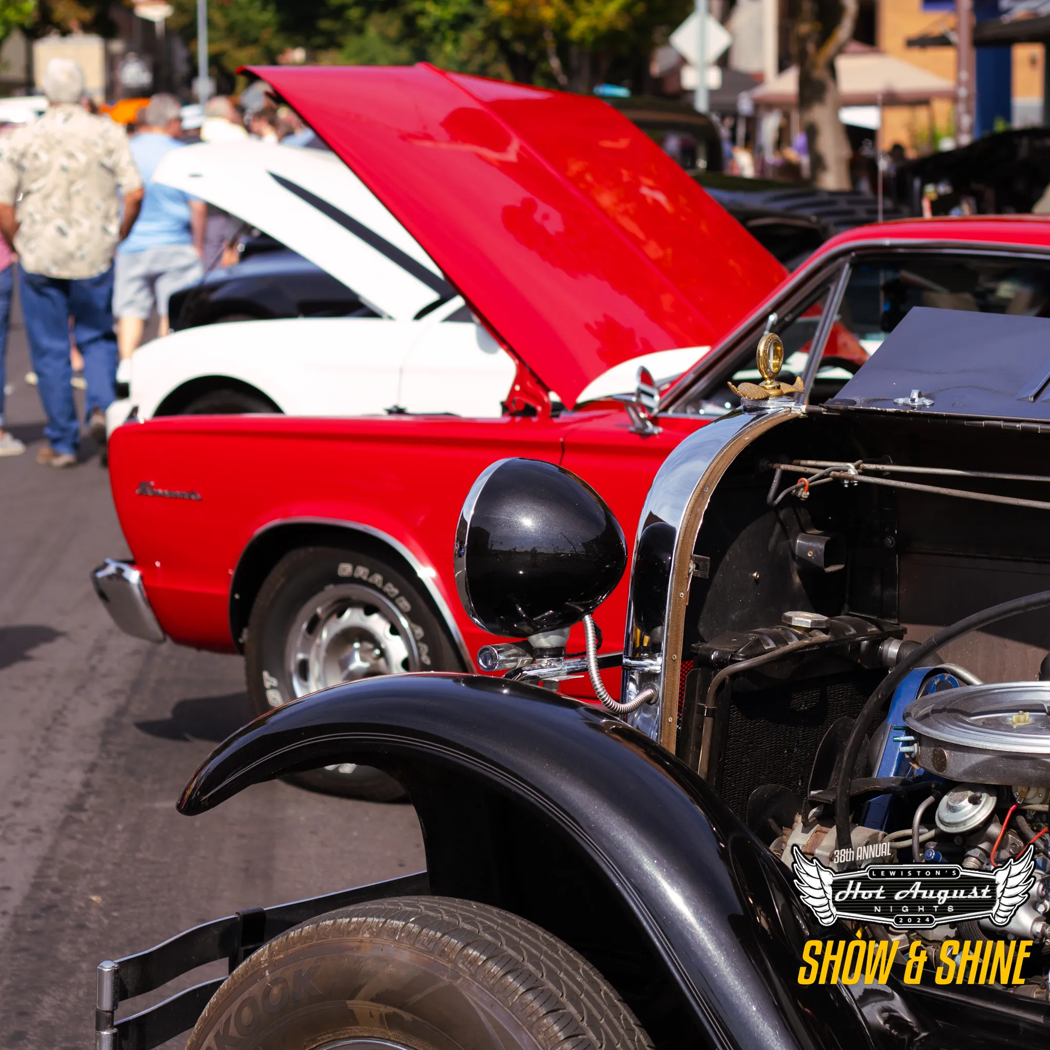 20240824_SHOWANDSHINE-003