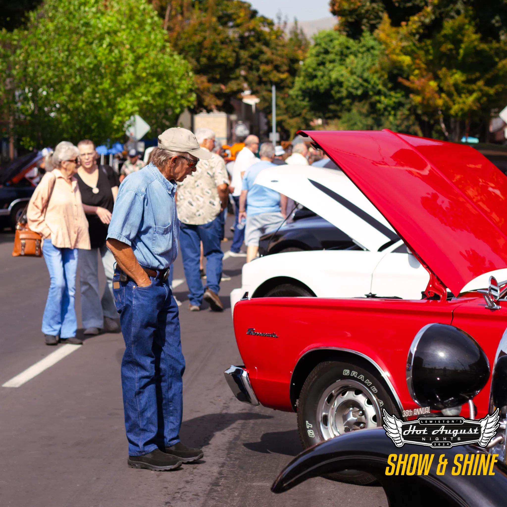 20240824_SHOWANDSHINE-004