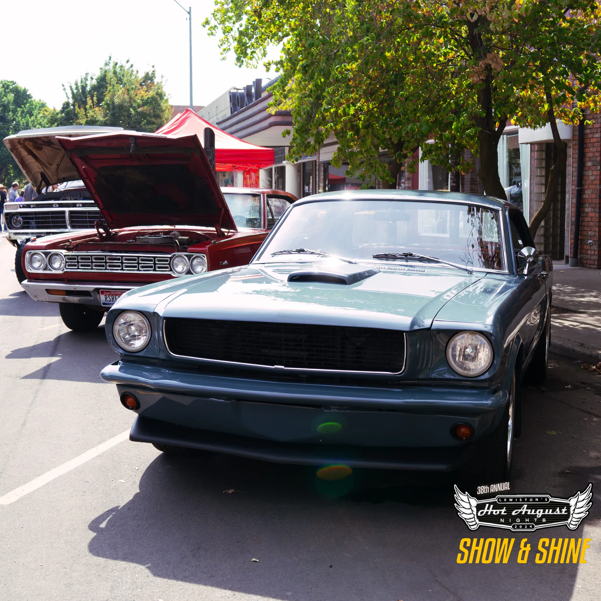 20240824_SHOWANDSHINE-046