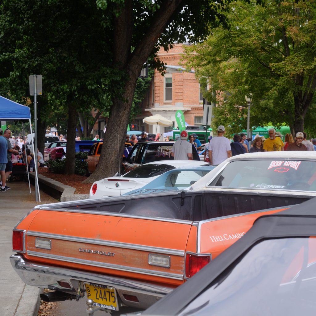 SHOWANDSHINE-10