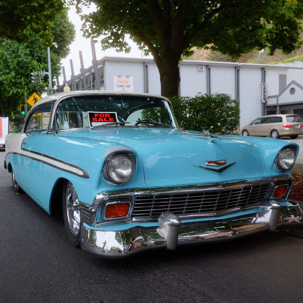 SHOWANDSHINE-28